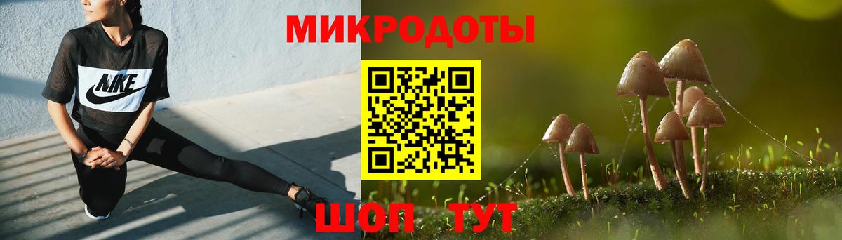 Галлюциногенные грибы Psilocybine cubensis Чусовой